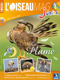 Couverture de l'OISEAU MAG JUNIOR n°24